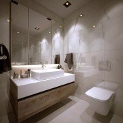 Modern guest bathroom renovation | Avon, OH | North Star Premier Custom Homes